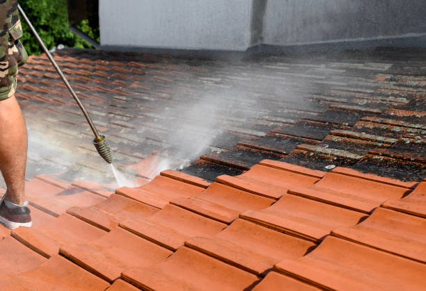 Best Affordable Pressure Washing  in St Peter, WI