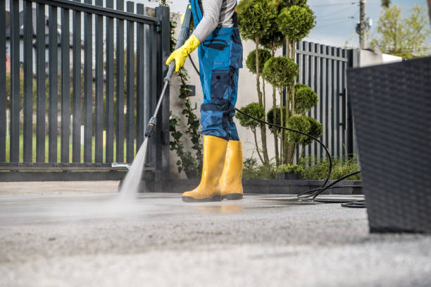 Best Residential Pressure Washing Services  in St Peter, WI